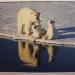 PUSNAKTS SAULES ZEME SVALBĀRA Foto galerija