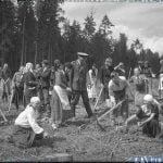 21. marts – Starptautiskā meža diena Foto galerija