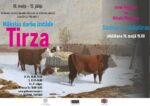 Ineses Manguses gleznu un Mihaila Plohocka skulptūru izstāde “Tirza” Afiša izstādei "Tirza" Gulbenes novada vēstures un mākslas muzejā 10.05.-15.07.2023