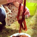 Dzijas krāsošana Latvijas florā atrodamajās sēnēs, 4. starptautiskais mākslas festivāls "Divi Jūliji. Uzdrīkstēšanās" 30.-31.07.2021.