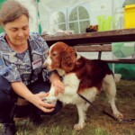 Mikoloģe Diāna Meiere un suns, 4. starptautiskais mākslas festivāls "Divi Jūliji. Uzdrīkstēšanās" 30.-31.07.2021.