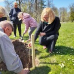 Glika ozolu stādīšana Vecgulbenes muižas parkā 07.05.2022