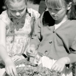 Darbnīca, 5. starptautiskais mākslas festivāls “Divi Jūliji. Briedums”, 30. jūlijs