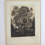 Pauls Duškins "Saulespuķes", grafika, 1980. gads Pauls Duškins, grafika, dāvinājums Laima Līduma, GVMM 27127