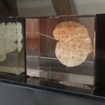 Latvijas Mākslas akadēmijas izstāde Sarkanās pils mansardā, Gulbenē, 18.07.-28.10.2023