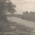 Plosti Gaujā pie Lejasciema, 20.gs. 1.puse. Foto, Plosti Gaujā pie Lejasciema